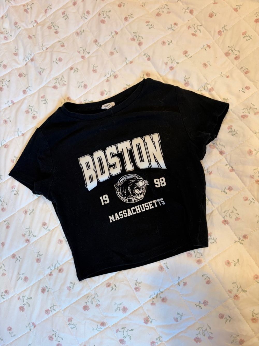 Boston Massachusetts Graphic Crop Baby Tee